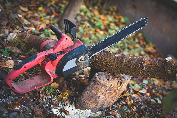 Best Lawn Maintenance Plans  in Piketon, OH